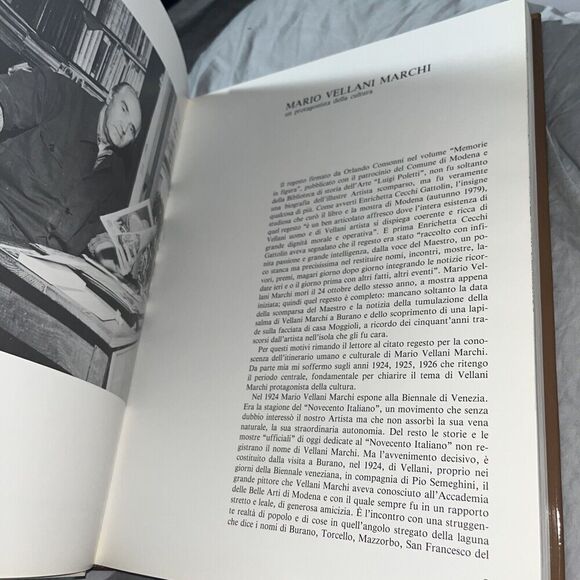 Vellani Marchi / Mario Ghilardi Oversized Italian Art HC DJ w Slip Case - Picture 4 of 8